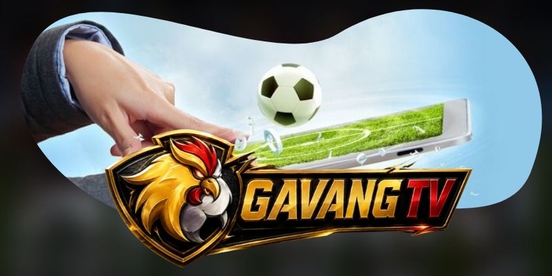 Câu hỏi thường gặp về ứng dụng và thông báo trận hiện nay
