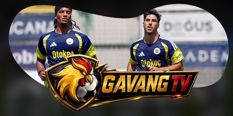 Nhận Định Fenerbahce Vs Lyon 02h00 19/08