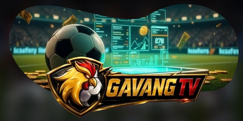 Sân vận động và vòng đấu bổ sung bối cảnh trước trận