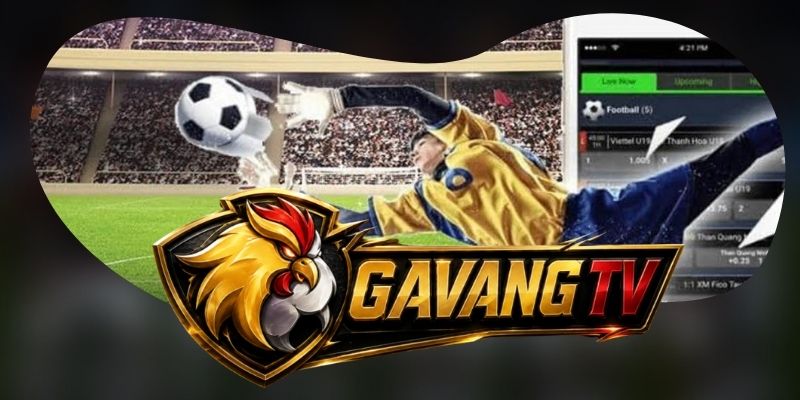Liên hệ Gà Vàng TV qua các kênh chăm sóc đang hoạt động