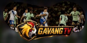 Nhận Định Pachuca Vs Puebla 10h06 18/08