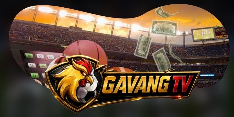 Tải app Gavang TV tập trung phiên bản và bảo mật hiện nay