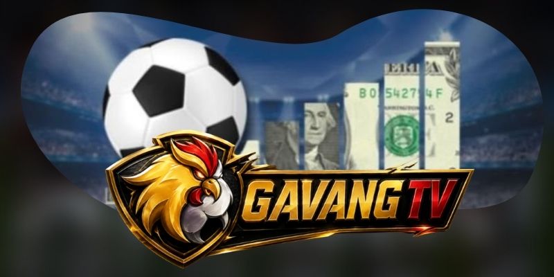 Tuyển dụng GavangTV bổ sung nhân sự web và ứng dụng