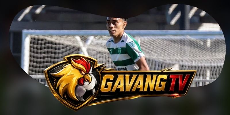 Gợi ý chốt kèo tổng hợp trận Viseu vs Santa Clara ngày 16/08